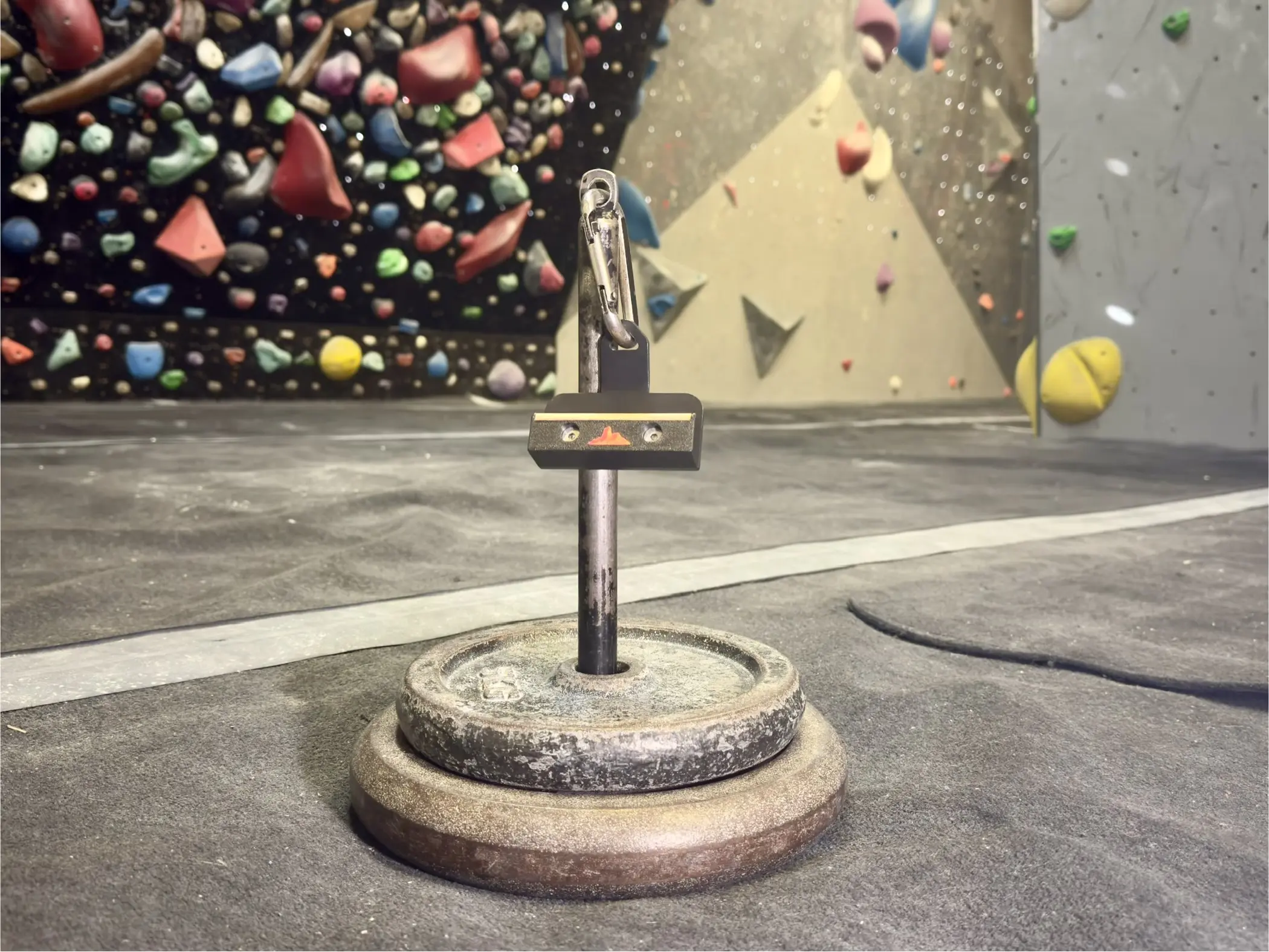 Complete Training Bundle